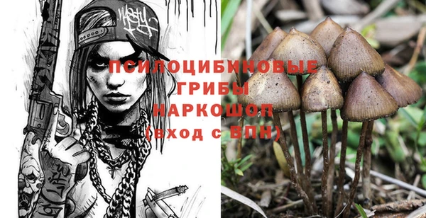 МДПВ Абаза