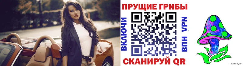 закладка  мега рабочий сайт  Галлюциногенные грибы прущие грибы  Княгинино 